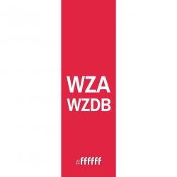 AFC Ajax - WZAWZDB