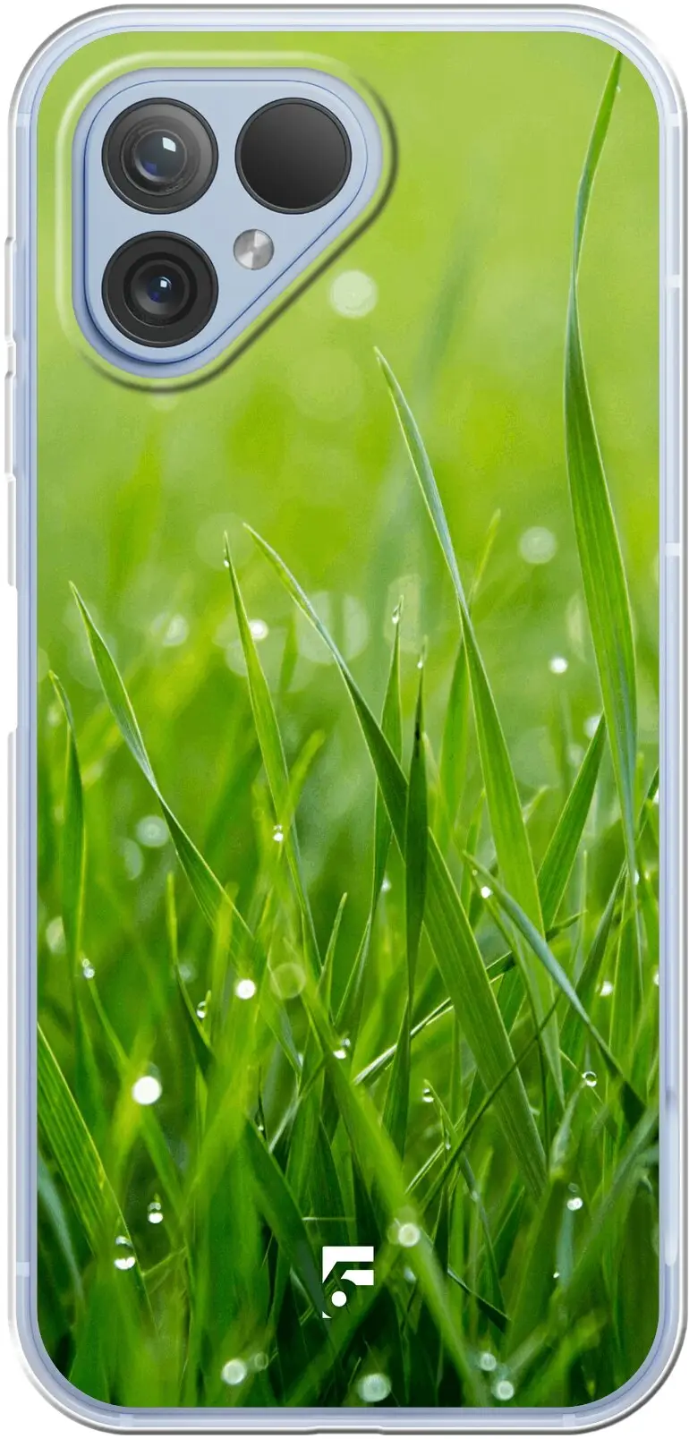 Morning Dew 5