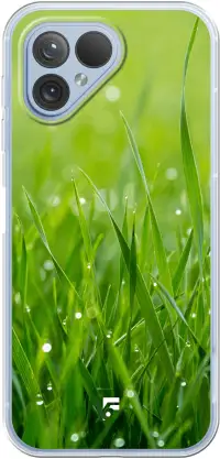 Morning Dew 5