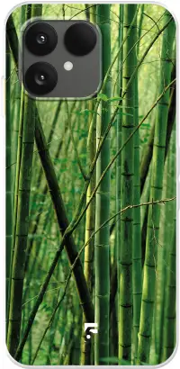 Bamboo 6