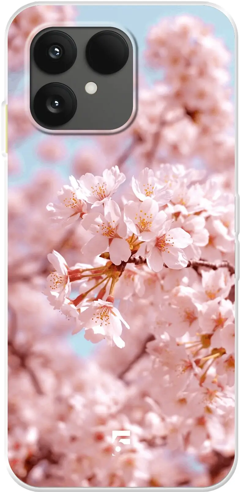Cherry Blossom 6