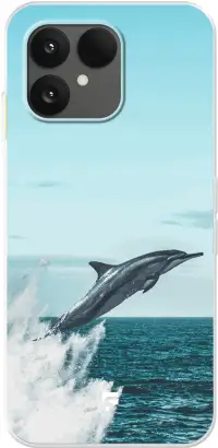 Dolphin 6