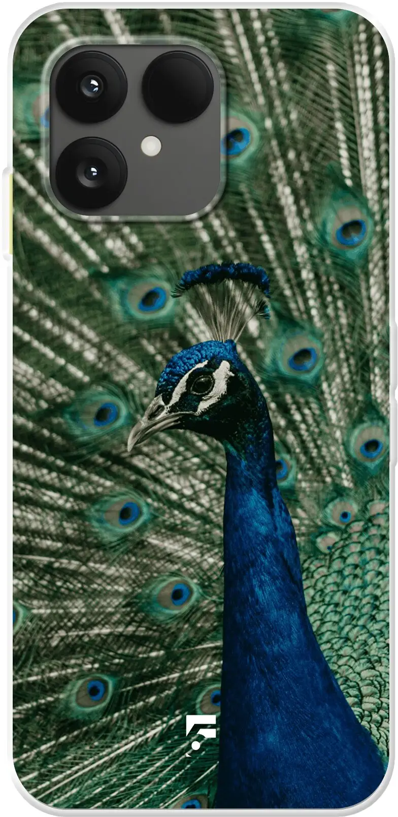 Peacock 6