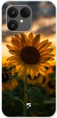 Sunset Sunflower 6