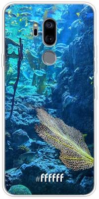 Coral Reef G7 ThinQ