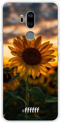 Sunset Sunflower G7 ThinQ