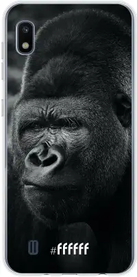 Gorilla Galaxy A10