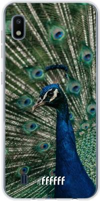 Peacock Galaxy A10