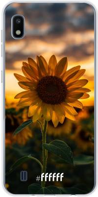 Sunset Sunflower Galaxy A10