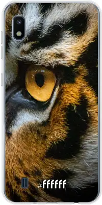 Tiger Galaxy A10