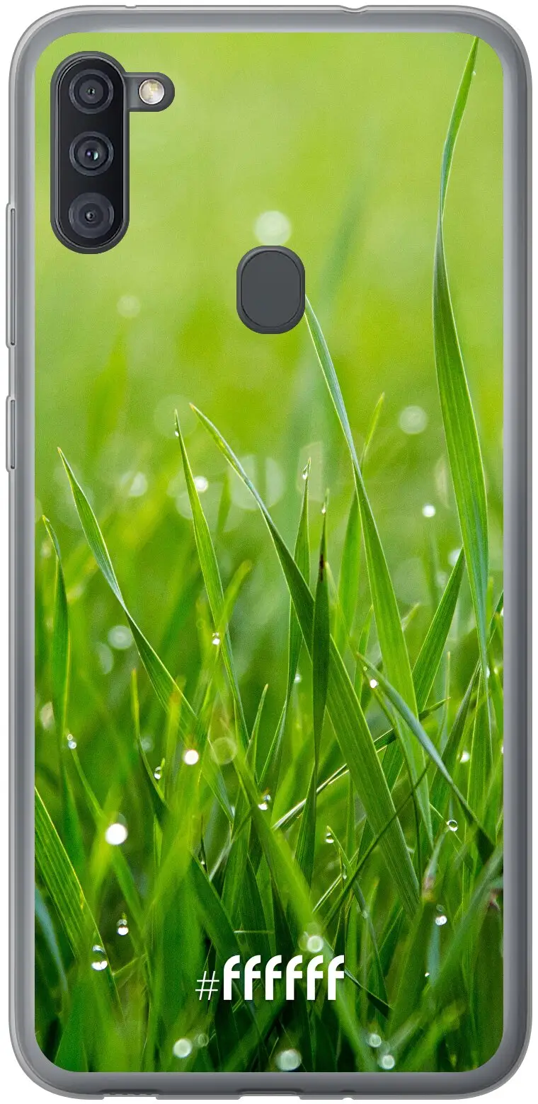 Morning Dew Galaxy A11