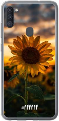 Sunset Sunflower Galaxy A11