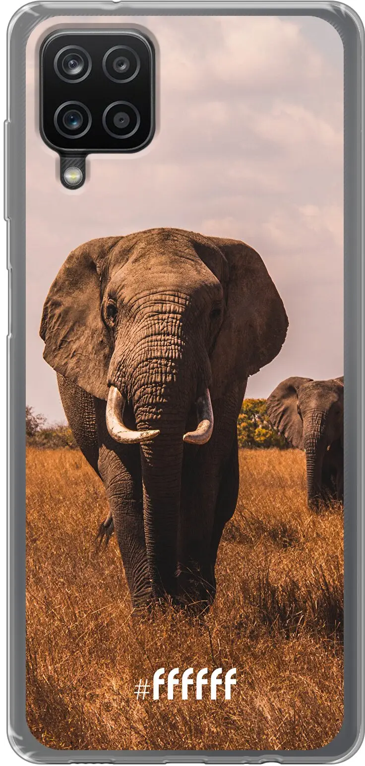 Elephants Galaxy A12