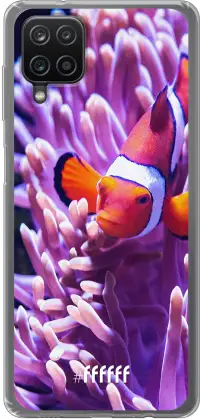 Nemo Galaxy A12