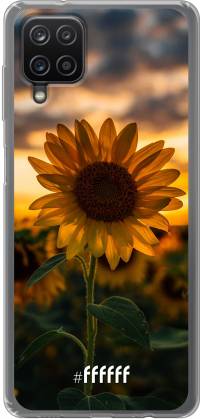 Sunset Sunflower Galaxy A12