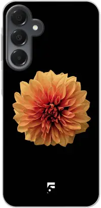 Butterscotch Blossom Galaxy A16