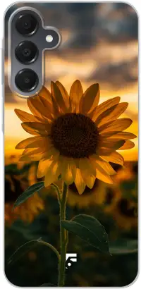 Sunset Sunflower Galaxy A16