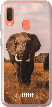 Elephants Galaxy A20e