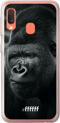 Gorilla Galaxy A20e