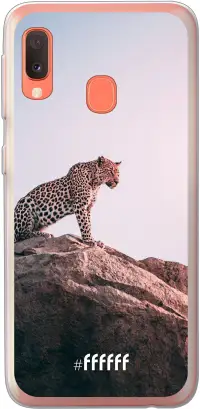 Leopard Galaxy A20e