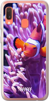 Nemo Galaxy A20e