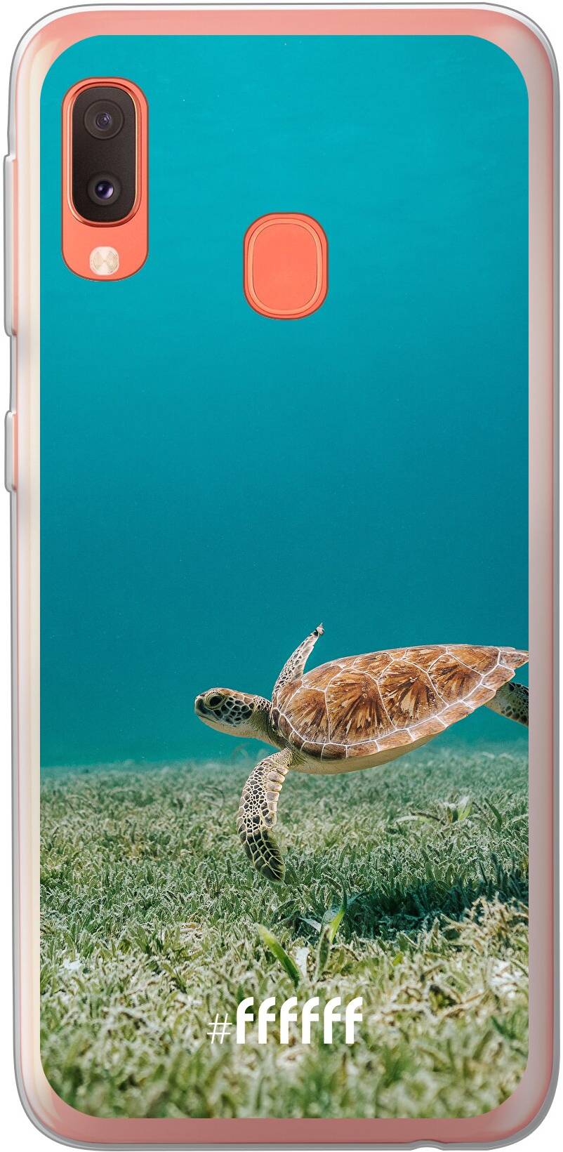 Turtle Galaxy A20e