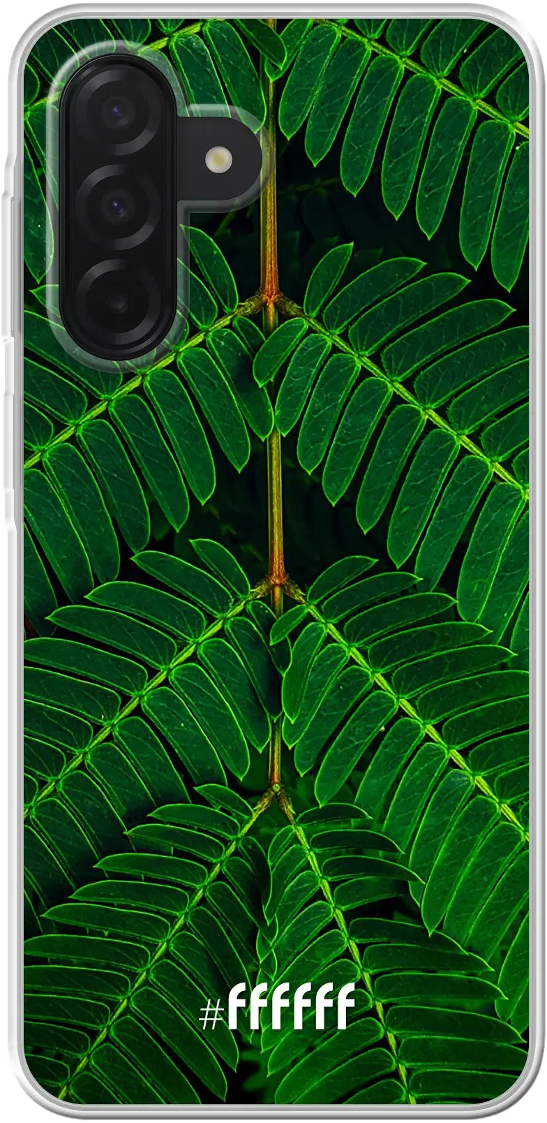 Symmetric Plants Galaxy A26