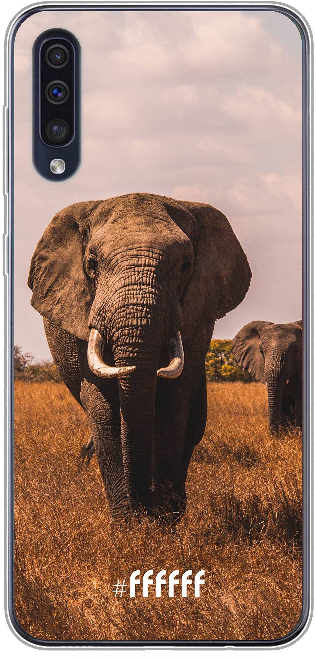 Elephants Galaxy A30s