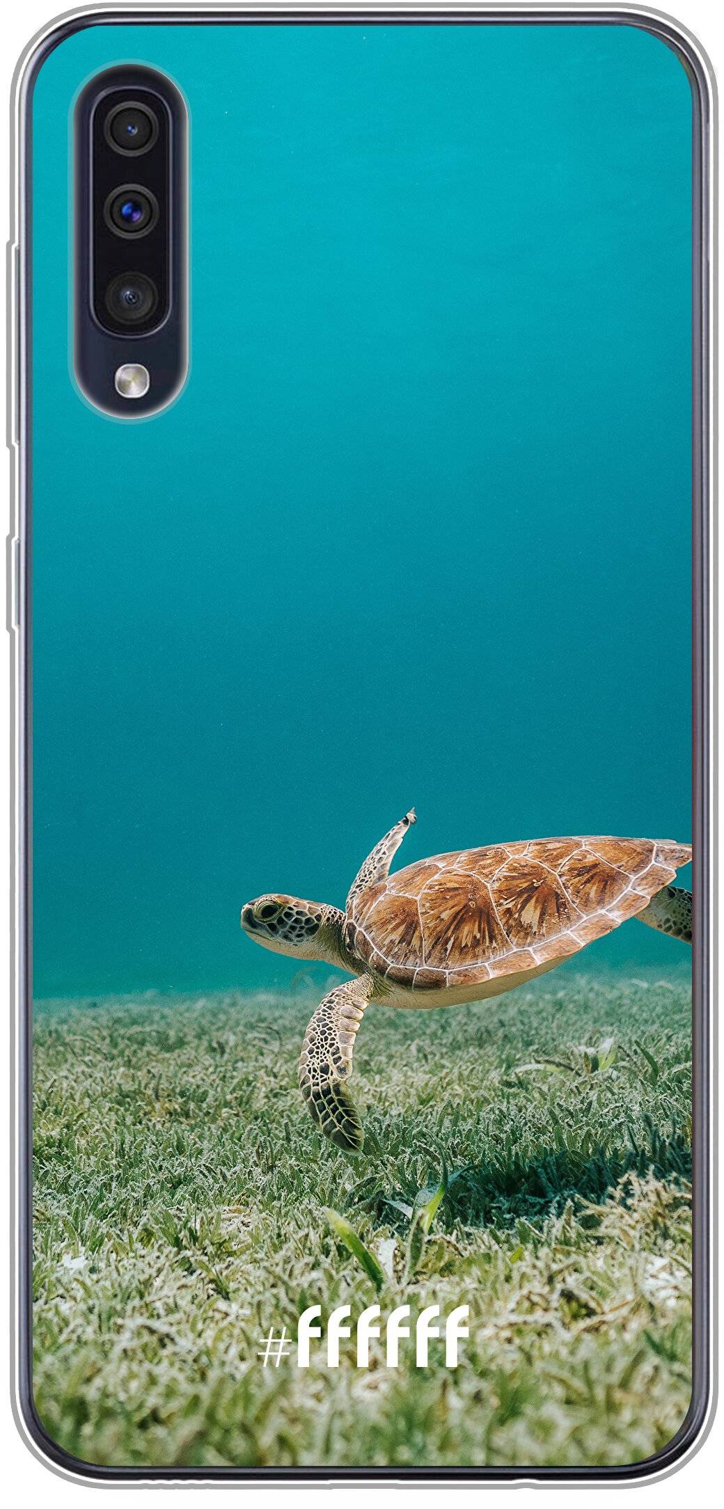 Turtle Galaxy A30s