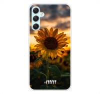 Sunset Sunflower Galaxy A34