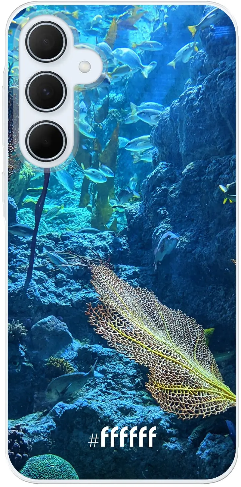 Coral Reef Galaxy A35