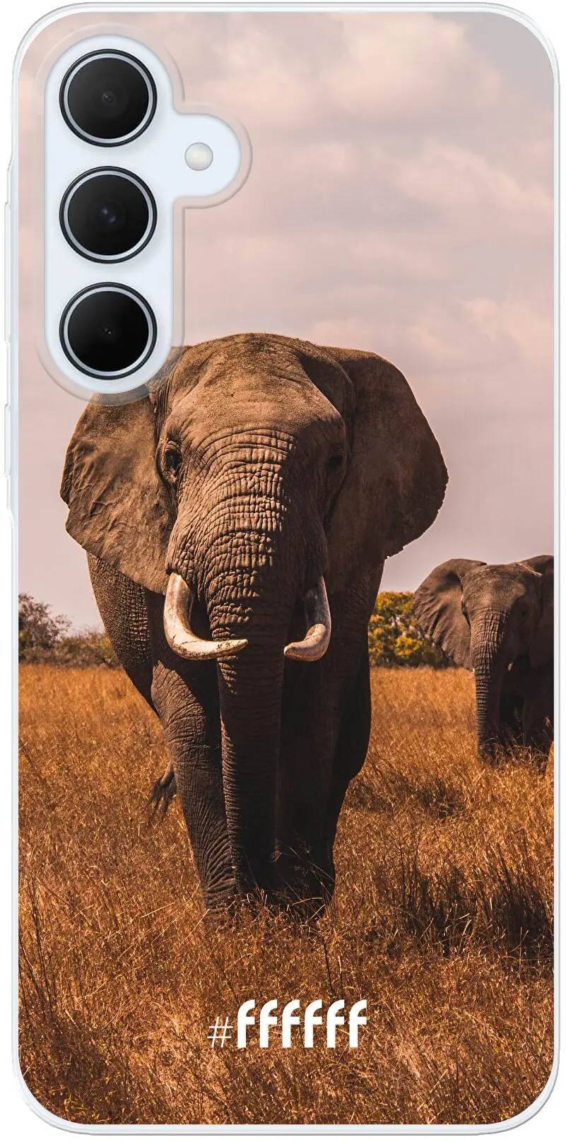 Elephants Galaxy A35