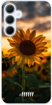 Sunset Sunflower Galaxy A35