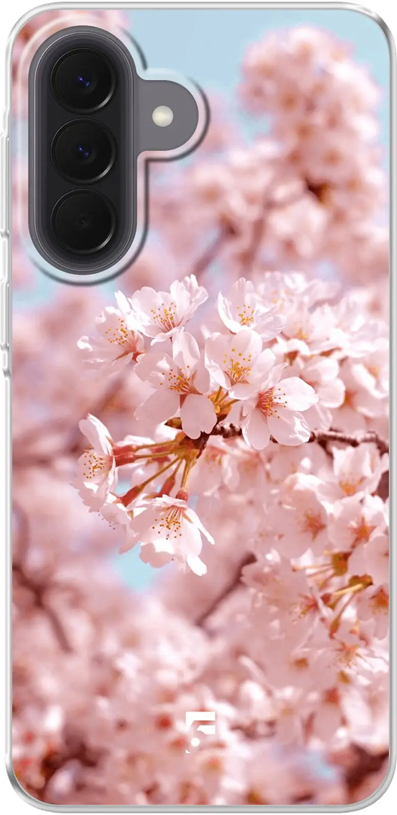 Cherry Blossom Galaxy A37