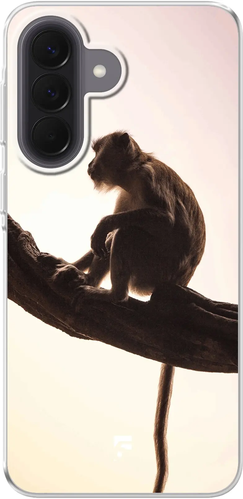 Macaque Galaxy A37