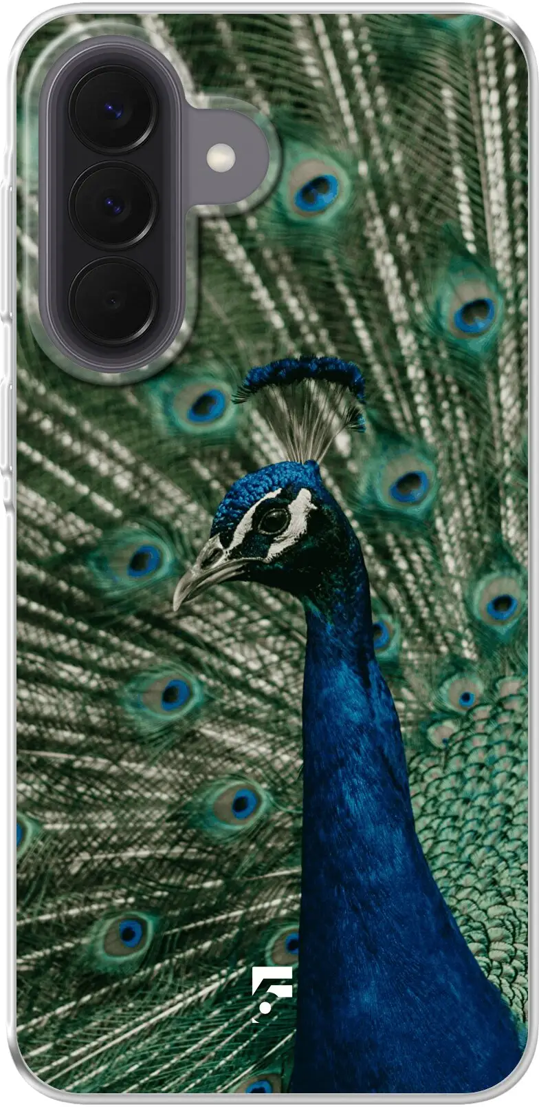 Peacock Galaxy A37
