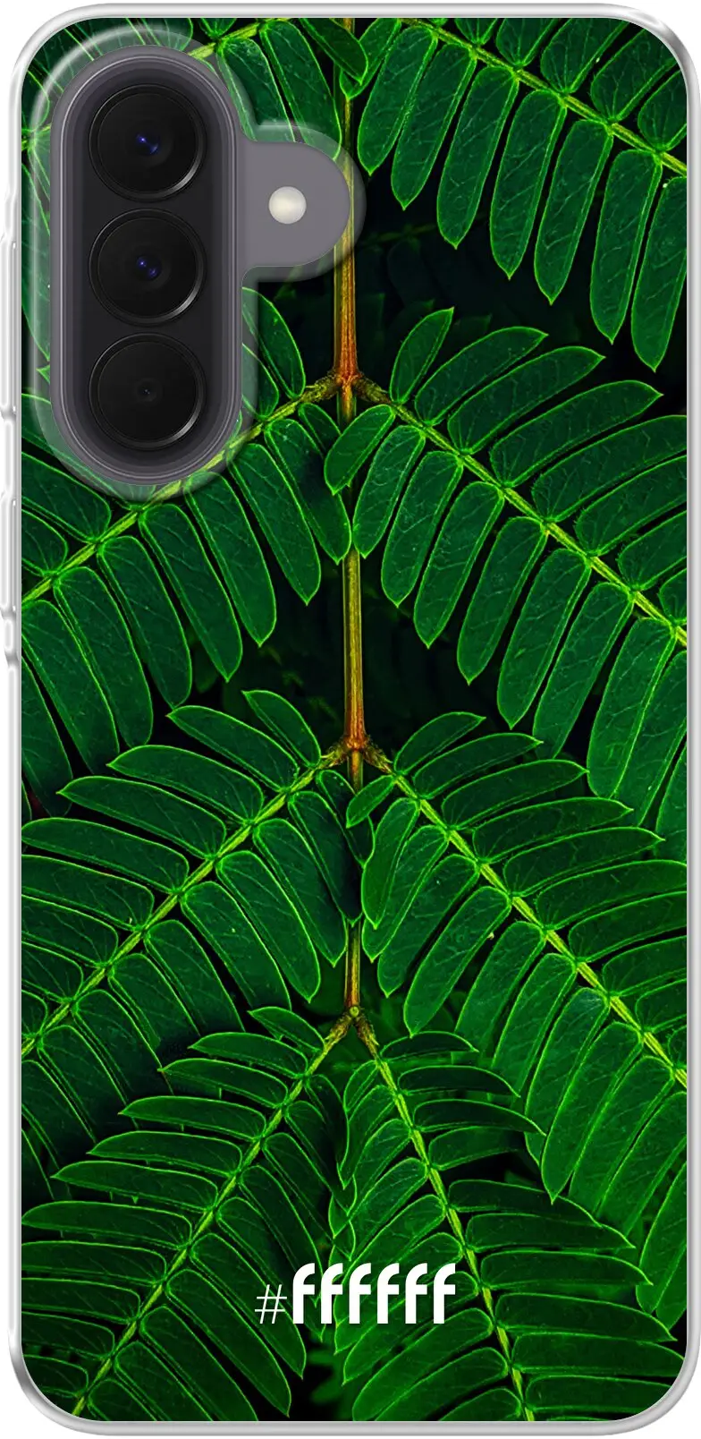 Symmetric Plants Galaxy A37