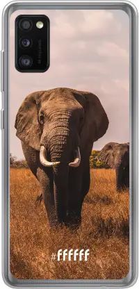 Elephants Galaxy A41