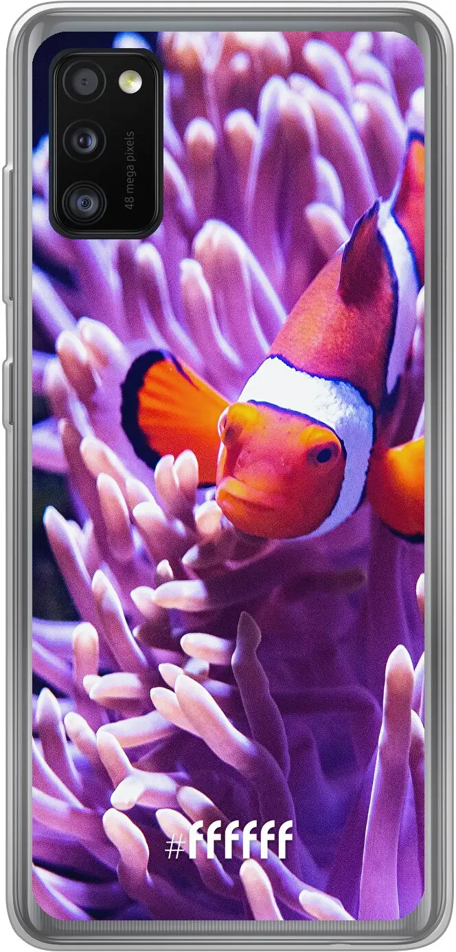 Nemo Galaxy A41