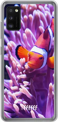 Nemo Galaxy A41