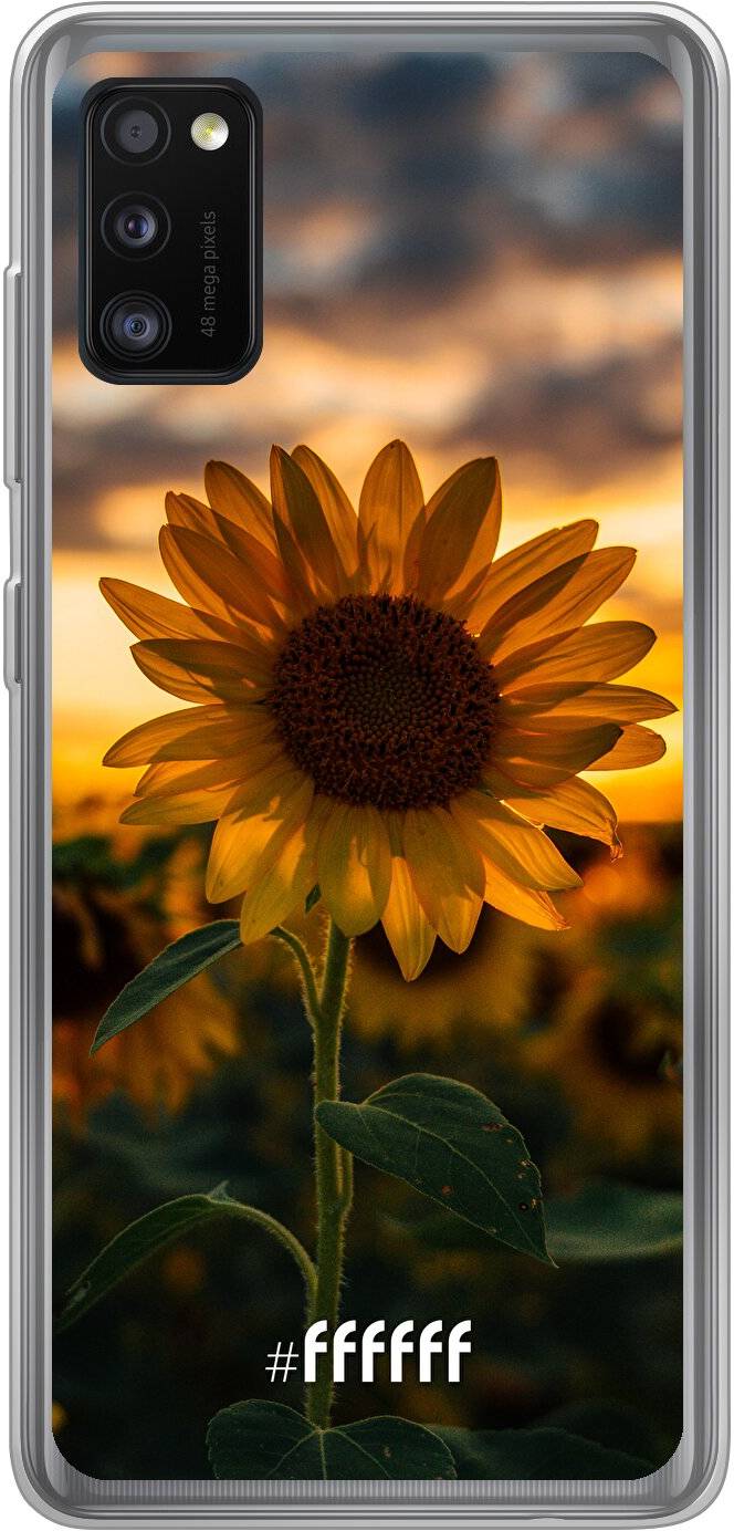 Sunset Sunflower Galaxy A41