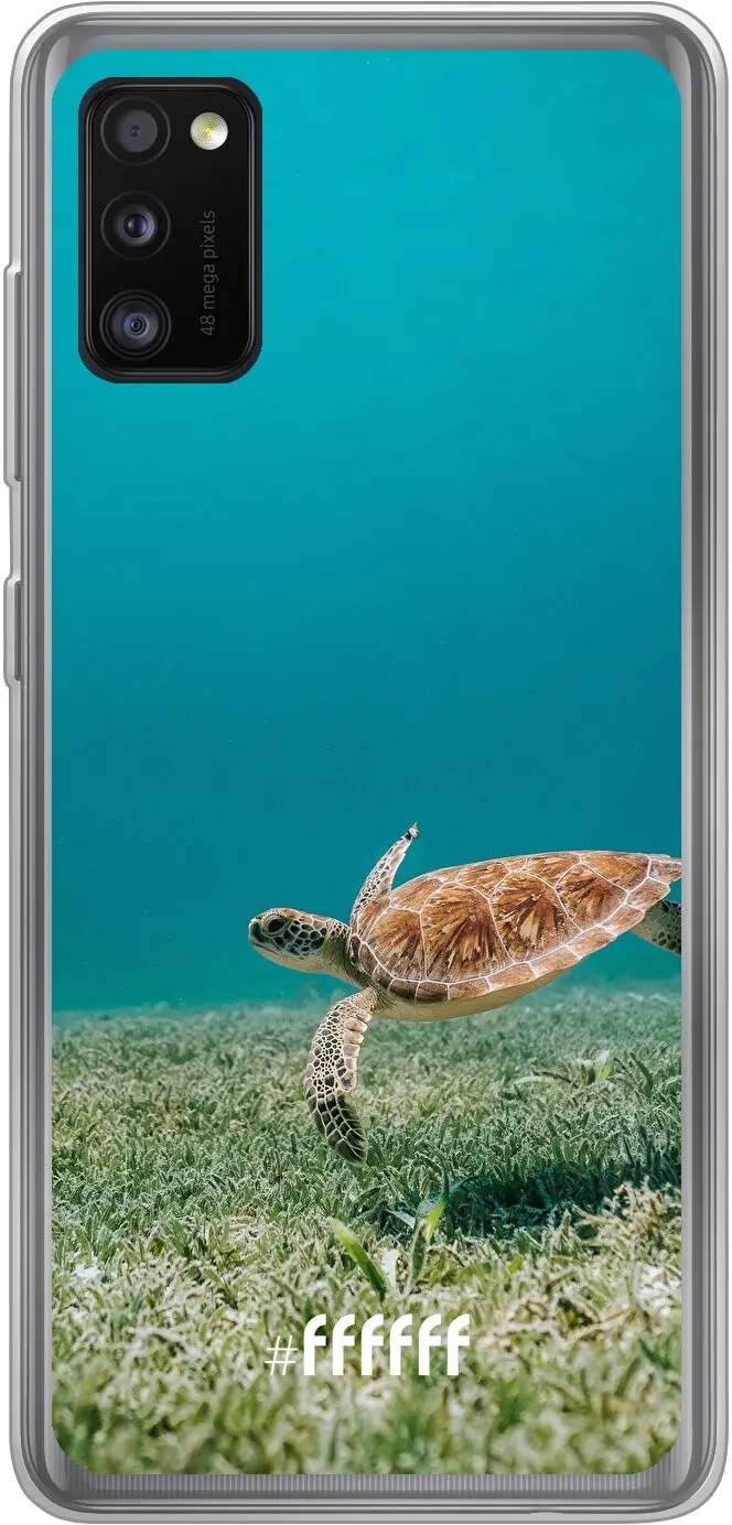 Turtle Galaxy A41