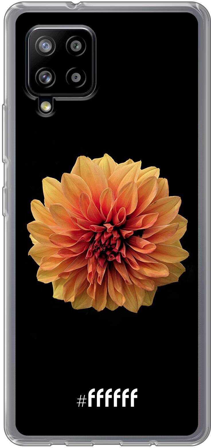 Butterscotch Blossom Galaxy A42