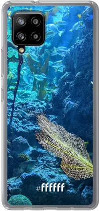 Coral Reef Galaxy A42