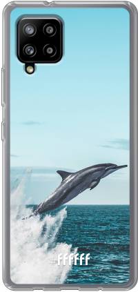 Dolphin Galaxy A42