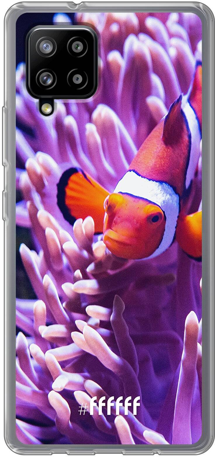 Nemo Galaxy A42