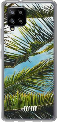 Palms Galaxy A42