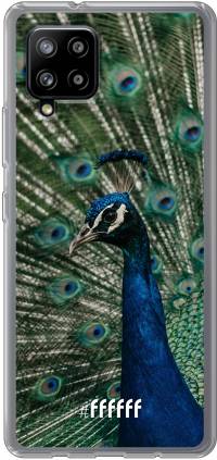 Peacock Galaxy A42