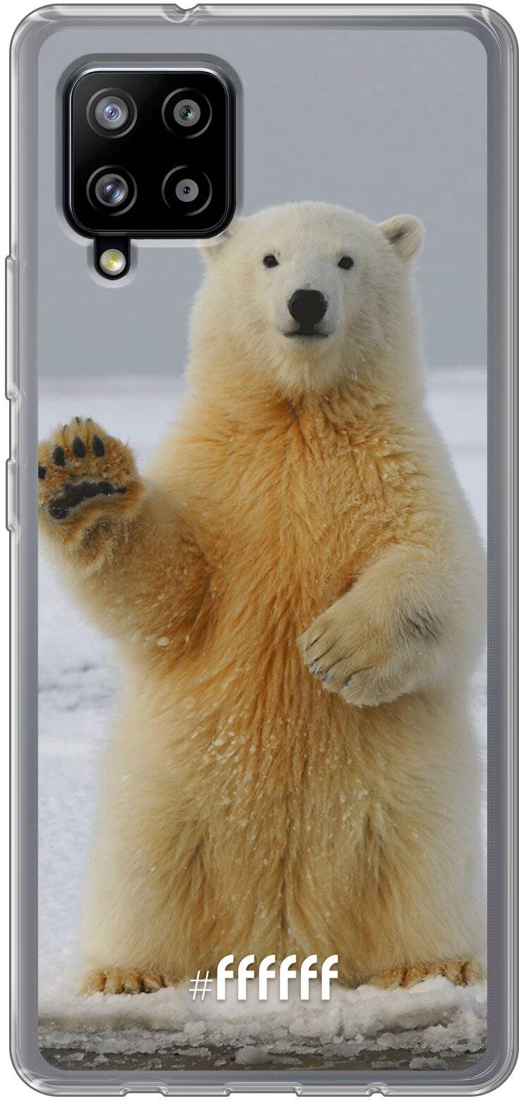 Polar Bear Galaxy A42