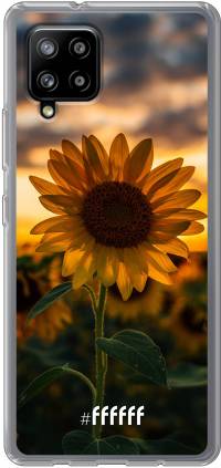 Sunset Sunflower Galaxy A42